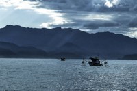 Mapa inicia seleção de integrantes do Banco Técnico-Científico para subsidiar a gestão da pesca nacional