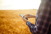 Mapa lança aplicativo para que produtores tenham acesso a informações sobre seguro rural