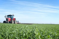 Mapa publica portaria com atividades e serviços essenciais para garantir funcionamento do setor agropecuário e abastecimento