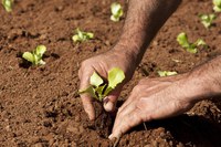 Mapa publica requisitos e procedimentos para inscrição no Cadastro Nacional da Agricultura Familiar (CAF)