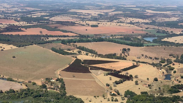 WhatsApp Image 2021-07-23 at 11.51.46.jpeg