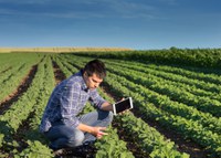 Mapa vai fomentar a qualificação dos peritos agrícolas que trabalham no seguro rural