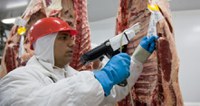 Mapa vai habilitar frigoríficos para exportar carne bovina in natura aos EUA