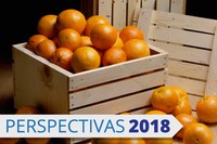 Mapa vai lançar plano para aumentar exportações de frutas