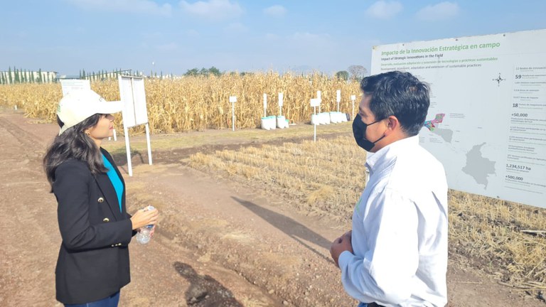 WhatsApp Image 2022-11-23 at 14.04.12.jpeg