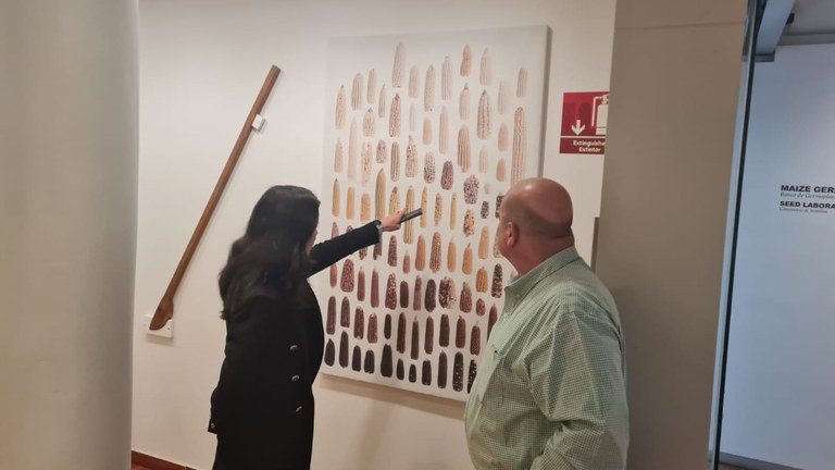 WhatsApp Image 2022-11-23 at 14.05.40.jpeg