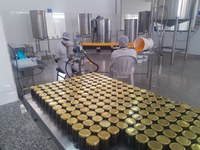 Mel do Norte de Minas Gerais recebe Indicação Geográfica por suas características únicas e terapêuticas