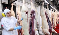 Mercado brasileiro já pode exportar carne bovina e suína com osso para Singapura