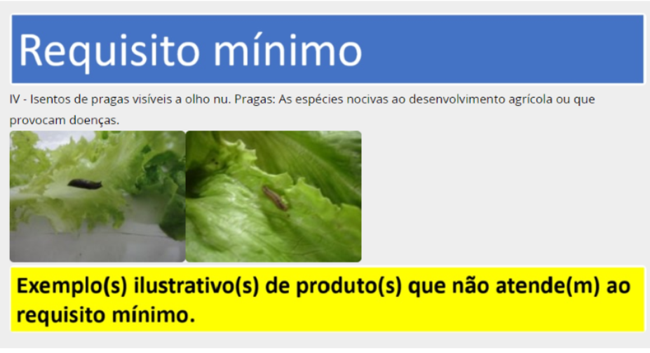 requisitos horticolas.png