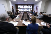 Ministra discute com adidos agrícolas cenários para o setor após a pandemia