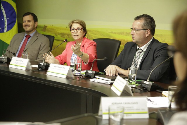 Mapa/Guilherme Martimon