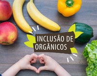 Tereza Cristina quer que alimentos orgânicos cheguem à merenda escolar