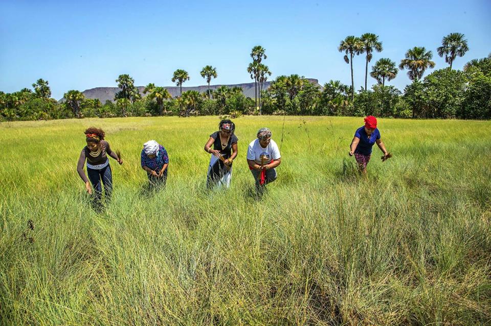 Mulheres quilombo Mumbuca.jpg