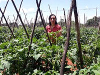 Mulheres representam 80% dos fornecedores de produtos para o Programa de Aquisição de Alimentos