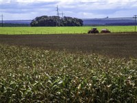 Municípios com alta produção agrícola impactam PIB local, mostra estudo do Mapa