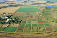 Municípios do agronegócio lideram crescimento do PIB
