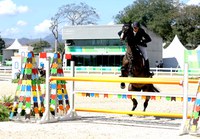 OIE reconhece trabalho do Mapa para declarar centro de hipismo como livre de doença de equídeos