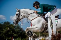 Olimpíadas: Mapa fiscalizou retorno de 229 cavalos aos países de origem