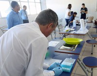 11% de amostras de pescados coletadas em operação do Mapa apresentaram inconformidades