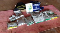 Operação apreende 6 toneladas de defensivos agrícolas ilegais no Paraná