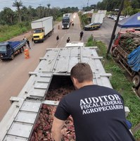 Operação conjunta apreende produtos agropecuários irregulares no Acre e em Rondônia