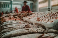 Operação DNA Pescado 2022 fiscaliza comercialização de peixes em 18 estados e no DF