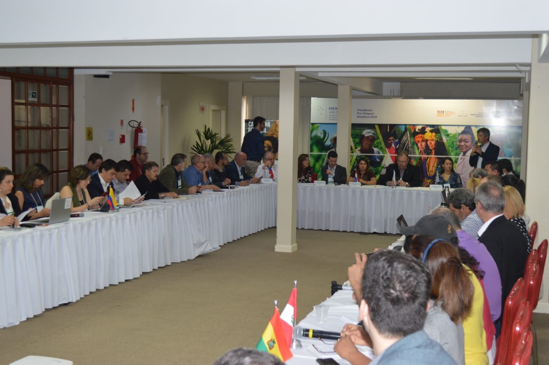 WhatsApp Image 2019-10-31 at 15.18.38.jpeg