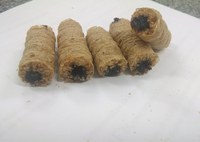 Pesquisa desenvolve biscoito de cereais integrais com recheio de polpa de frutas brasileiras