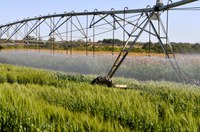 Plano tem meta de aumentar área irrigada em 5 milhões de hectares