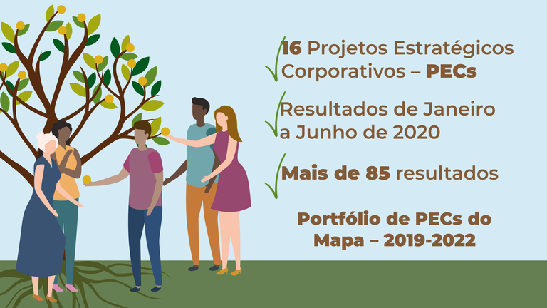 resultados pecs 1o 2020.png