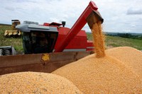 Produção de grãos cresce 3,4% e chega a 235,3 milhões de toneladas