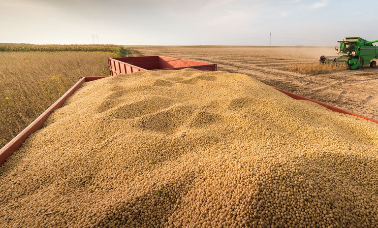 soja iStock-602305604.jpg