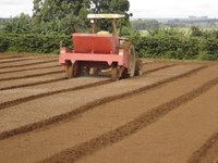 Produtividade da agropecuária cresce 3,43% ao ano