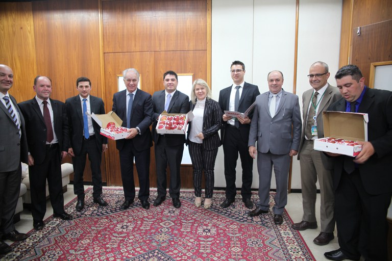 Prefeitos de cidades produtoras de maçã pedem liberação de novos defensivos