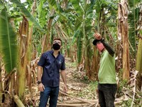 Programa AgroResidência vai levar qualificação técnica a estudantes no Tocantins e na Ilha do Marajó
