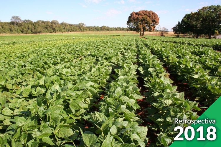 Embrapa/Divulgação