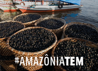 Campanha é lançada para ampliar acesso aos produtos sustentáveis da Amazônia