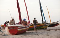 Recadastramento de pescadores deve começar em cerca de 30 dias