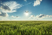 Regulamentação do uso de drones em atividades agropecuárias é colocada em consulta pública