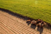 Renagro permitirá registro eletrônico de tratores e máquinas agrícolas