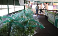 Semana dos Orgânicos terá como tema benefícios dos produtos para a saúde e o meio ambiente