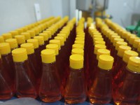 Serra da Capivara, no Piauí, inicia projeto para mel da região receber Indicação Geográfica