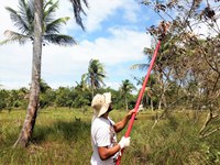 Serviço Florestal Brasileiro participa do Projeto de Recuperação do Rio Pitimbu