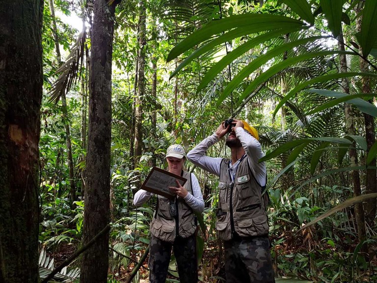 2021_03-04_ifn_amazonas_01.jpg