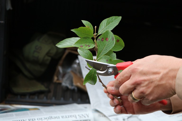 WhatsApp Image 2022-02-14 at 15.59.21.jpeg