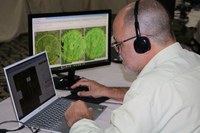 Serviço Florestal realiza oficina para aprimoramento de dados do Inventário Florestal Nacional