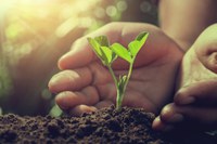 Serviço Nacional de Proteção de Cultivares completa 25 anos