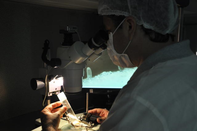 Rafael Rocha/Embrapa