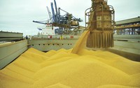 Soja em grão e milho puxam as vendas externas de agosto