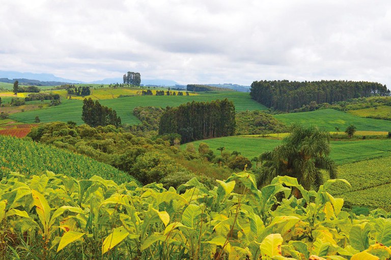 "Está chegando a colheita"